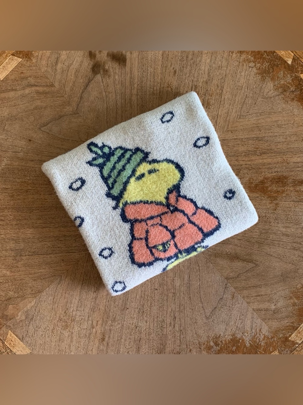 AE Woodstock Graphic OversizedSweater
